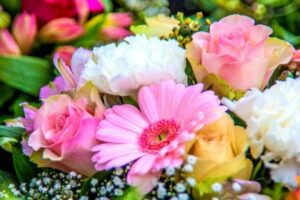 birth month flowers primary 1920x1280px pixabay 600x400 1