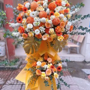 KT003 - RỰC RỠ