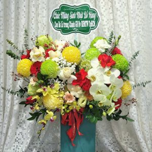 CM001 - NIỀM VUI