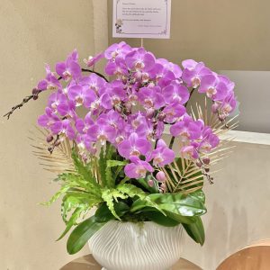 Chậu Lan Tím Sáng Decor LT06-2025